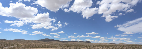 THE ROAD TO VEGAS